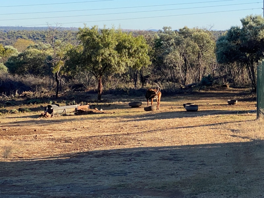 5 Bedroom Property for Sale in Koster North West
